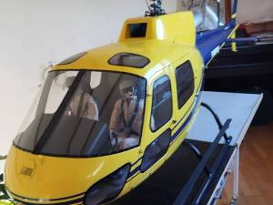 AS 350 Ecureuil 1/4 Vario, 9500 €